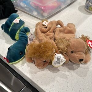 TY Beanie Babies - Spunky, Roary, & Hissy